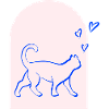 Katze