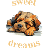 Sweet Dreams Hund