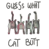 Funny cats