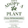 Adopt A Plant Plant Lover Garden Flower Nature
