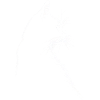 Silhouette of a cat