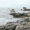 Fishermen's huts