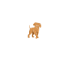 Heartbeat Poodle