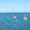 Sea trip to Morbihan