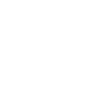Poodle Definition