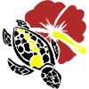 Tortoise