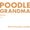 Poodle Grandma Definition