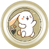 Little rabbit in photoframe
