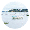 Calm sea in Morbihan