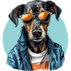 Streetstyle-Hund | Hundeliebhaber