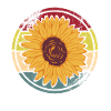 Hippy