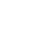 THE AGE OF STUPID