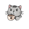 Katze