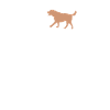 papa chien papa
