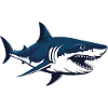 shark