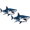sharks