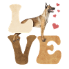 Belgian Malinois Dog