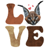 Big Floppa Caracal Cat Meme