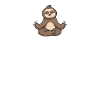 Ohm sloth