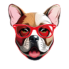 French Bulldog Dog 01