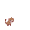 Nasenbär