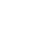 Nasenbär
