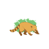 Nasenbär