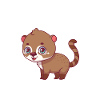 Nasenbär