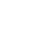 Nasenbär