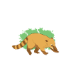 Nasenbär