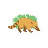Nasenbär