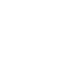 Nasenbär