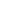 Nasenbär