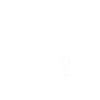 Nasenbär