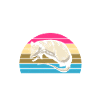 Opossum