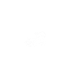 Opossum
