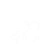 Opossum