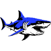 shark