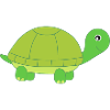 Skildpadde skildpadder