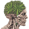 Weed in my head