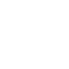 Poodle Us Flag
