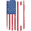 Caniche Us Flag
