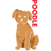 Poodle Us Flag