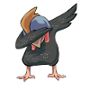 Perlhühner Perlhuhn Guinea Fowl