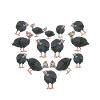 Perlhühner Perlhuhn Guinea Fowl