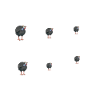 Perlhühner Perlhuhn Pintade
