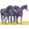 Autocollant de cheval frison