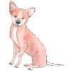 Autocollant Chihuahua