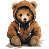 cooler Teddy mit Kaputze