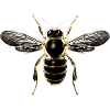 Detailed bee illustration on textiles